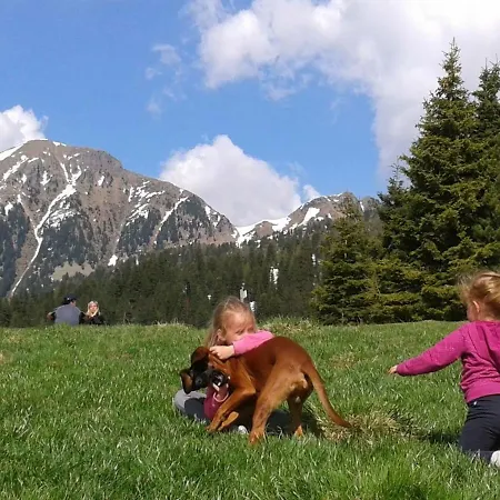 Bed & Breakfast Relais Dolomiti