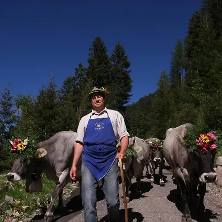 Bed & Breakfast Relais Dolomiti